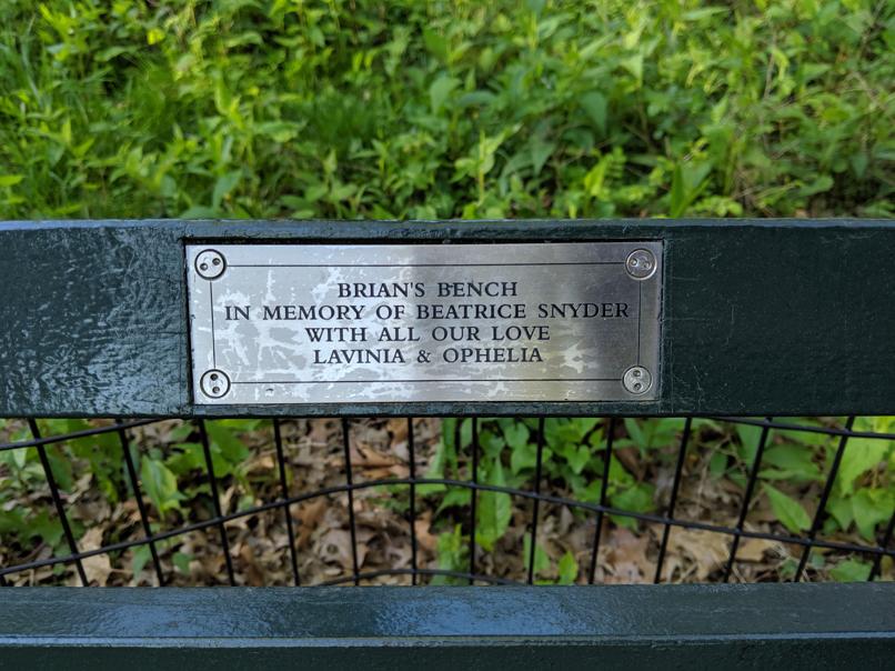 I saw this bench in Central Park