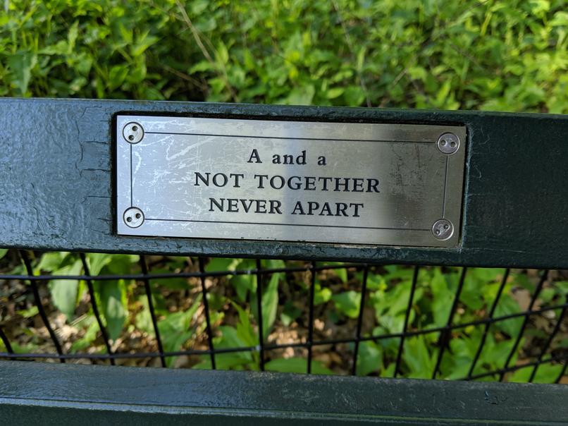 I saw this bench in Central Park