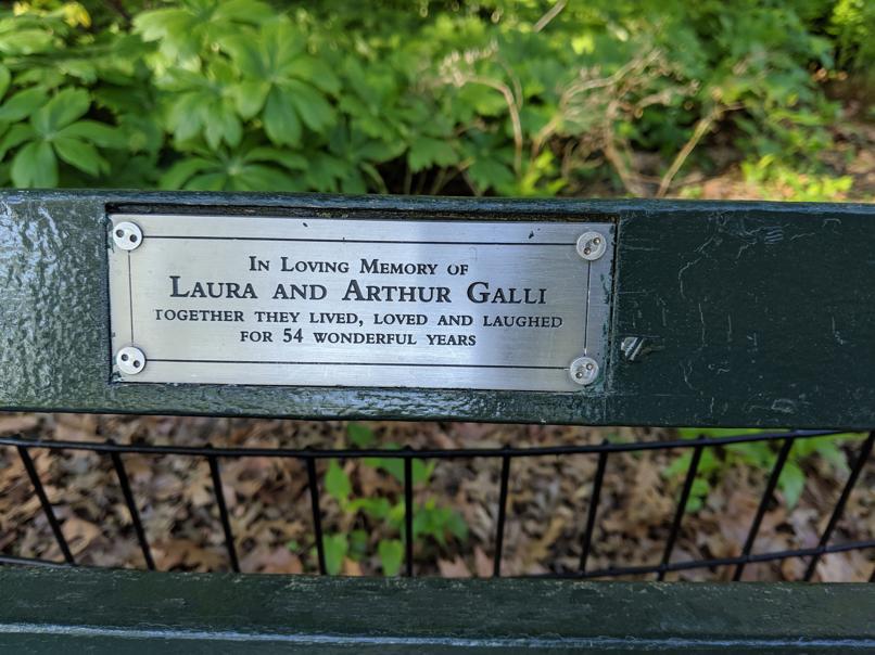 I saw this bench in Central Park