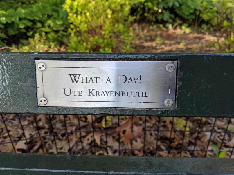 I saw this bench in Central Park