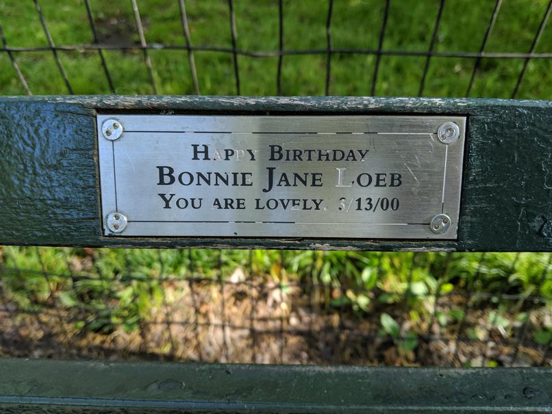 I saw this bench in Central Park