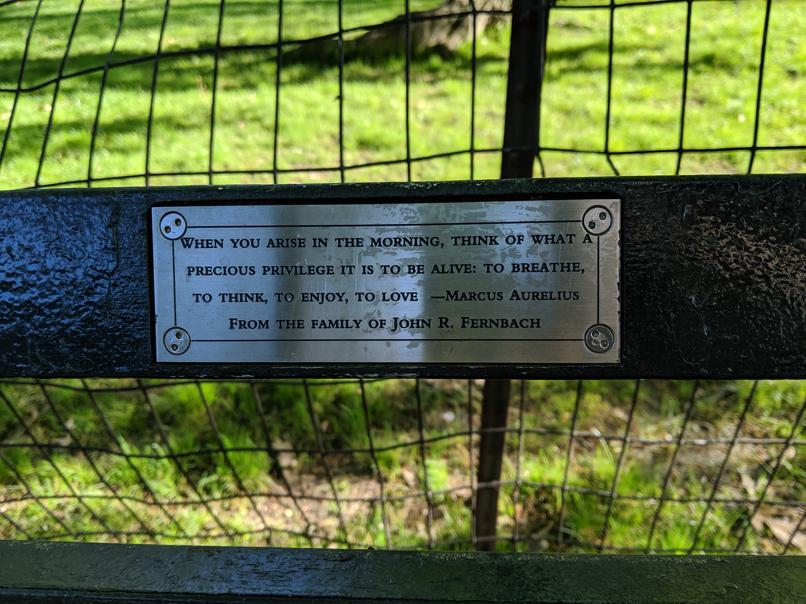 I saw this bench in Central Park