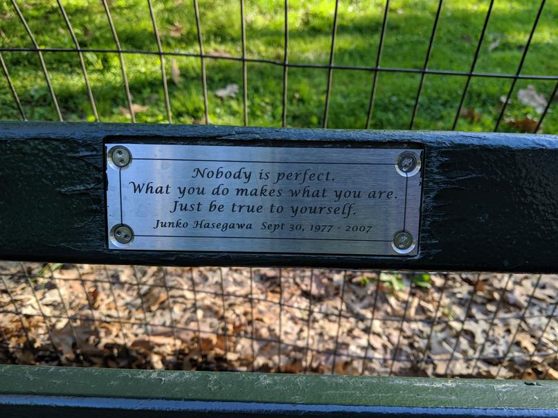 I saw this bench in Central Park