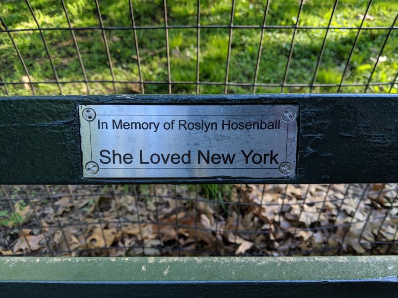 I saw this bench in Central Park