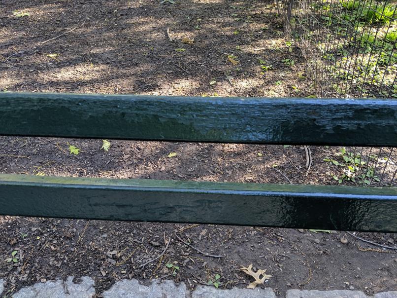 I saw this bench in Central Park