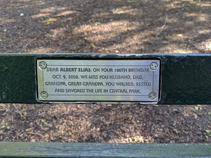 I saw this bench in Central Park