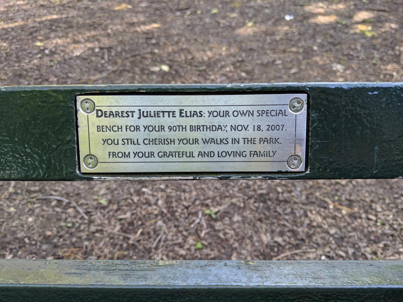 I saw this bench in Central Park