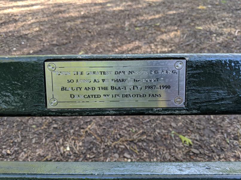 I saw this bench in Central Park