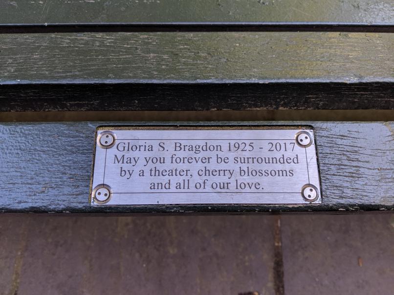 I saw this bench in Central Park