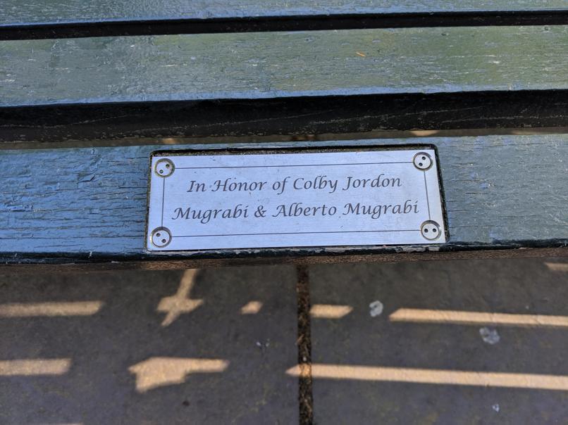 I saw this bench in Central Park