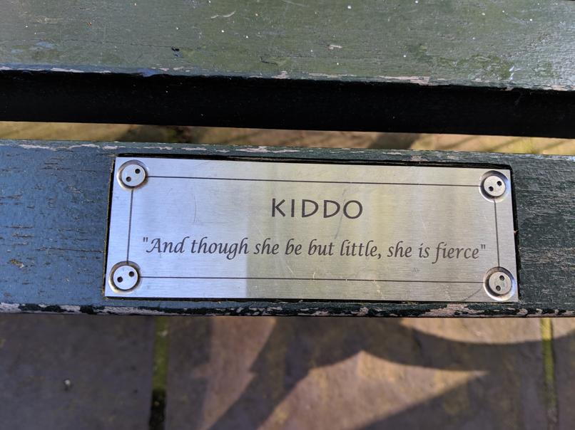 I saw this bench in Central Park