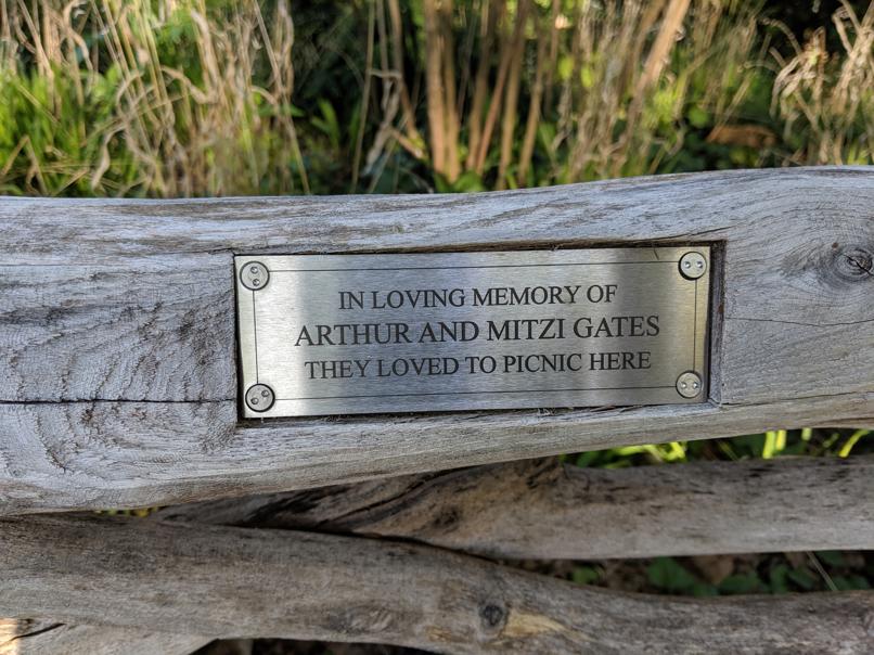 I saw this bench in Central Park