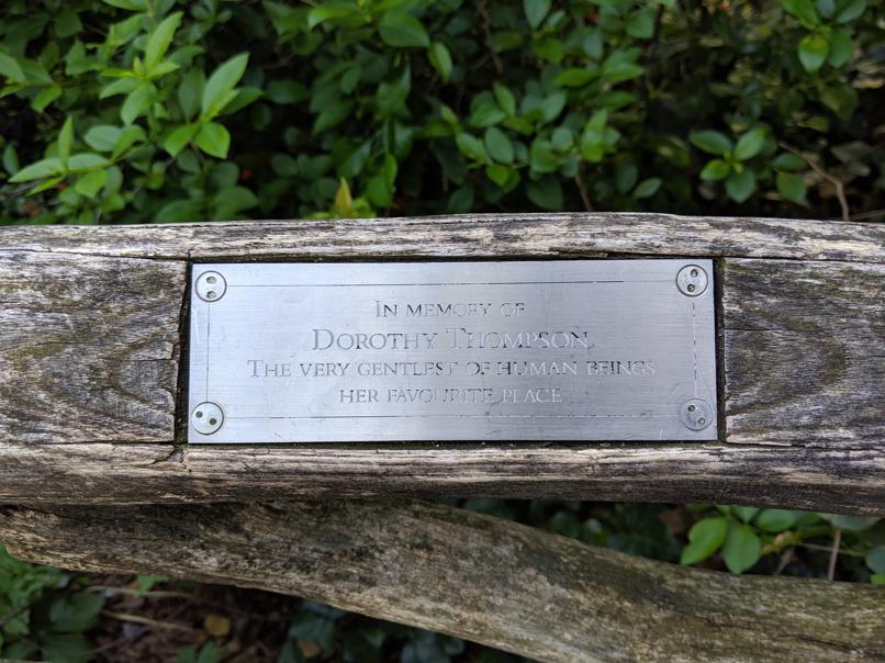 I saw this bench in Central Park