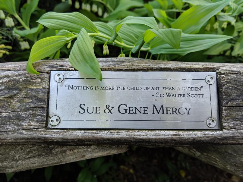 I saw this bench in Central Park