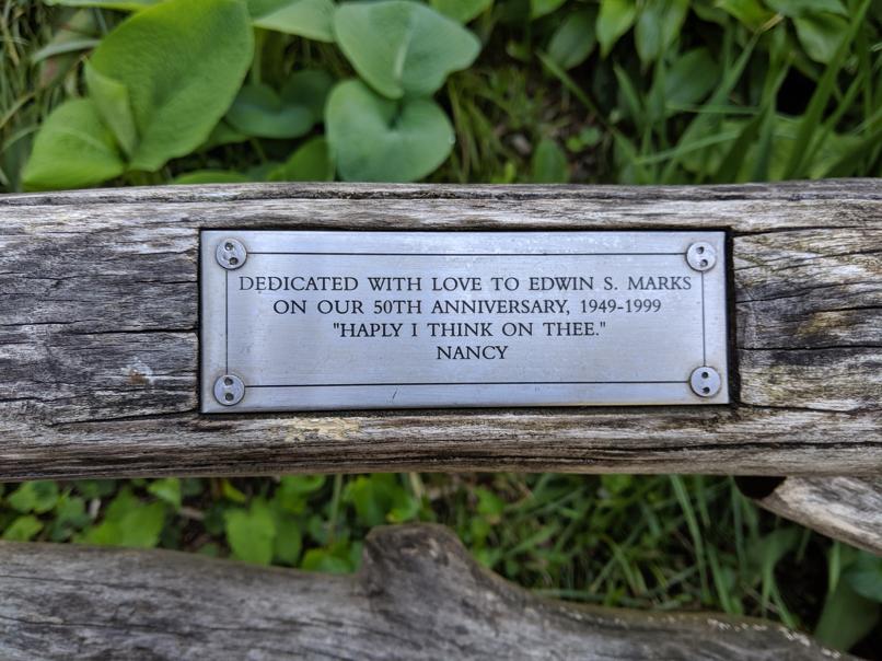 I saw this bench in Central Park