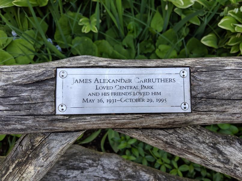 I saw this bench in Central Park