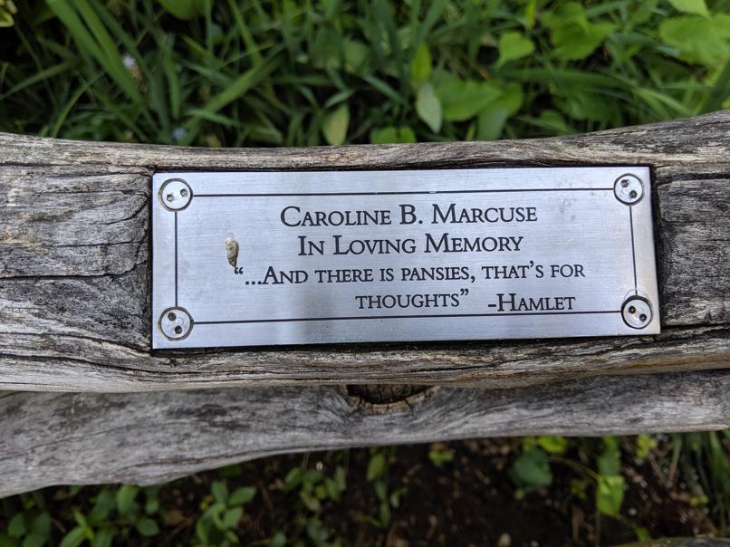 I saw this bench in Central Park