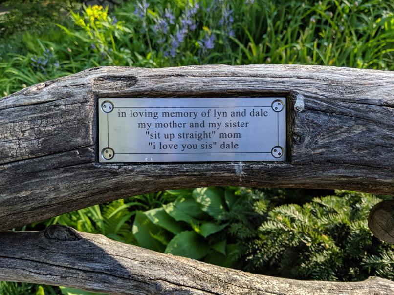 I saw this bench in Central Park