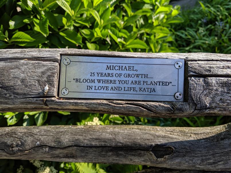 I saw this bench in Central Park