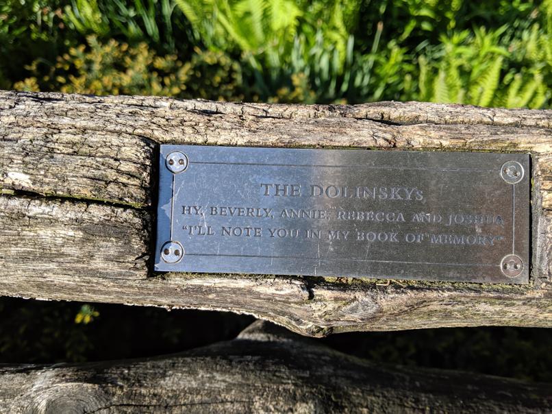 I saw this bench in Central Park