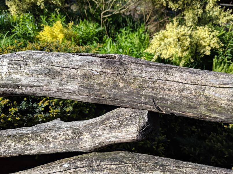 I saw this bench in Central Park