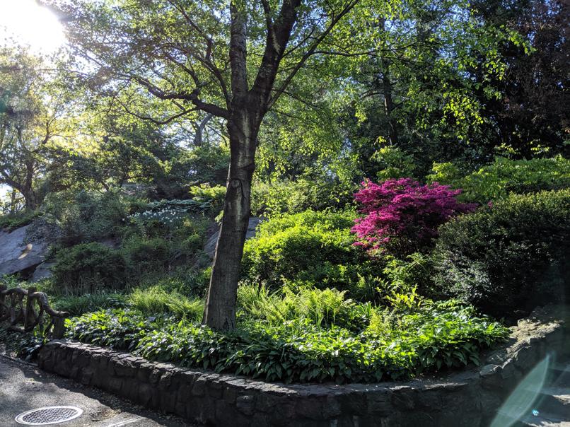 I saw this bench in Central Park