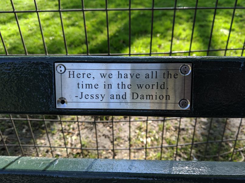 I saw this bench in Central Park