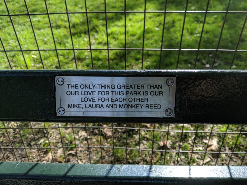 I saw this bench in Central Park