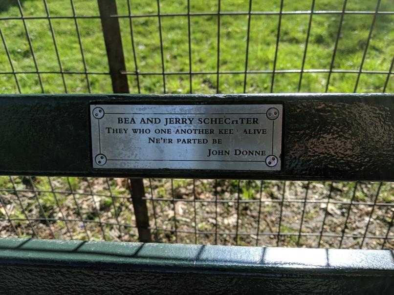 I saw this bench in Central Park