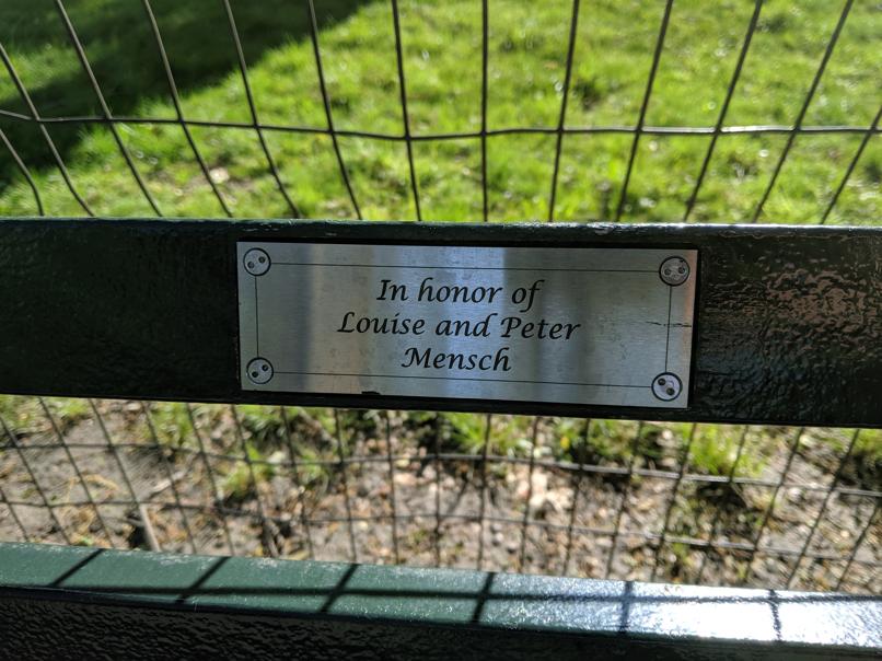 I saw this bench in Central Park