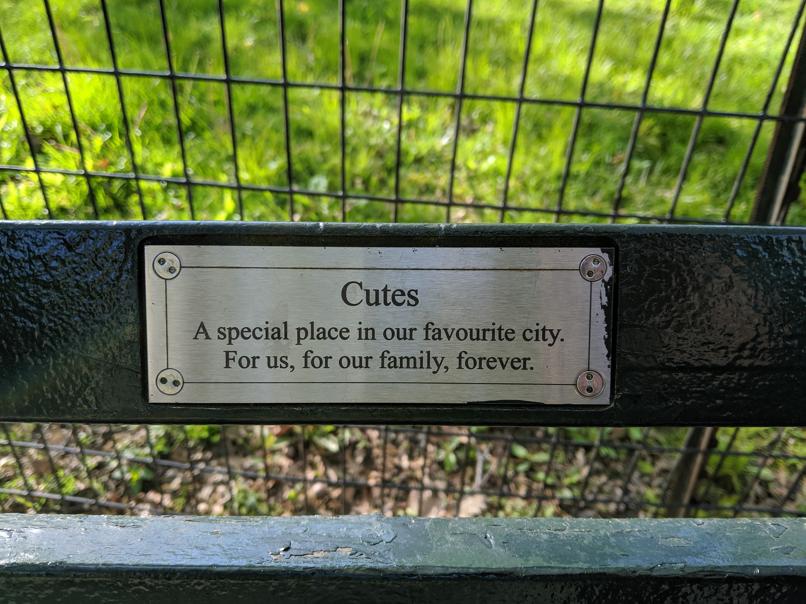 I saw this bench in Central Park