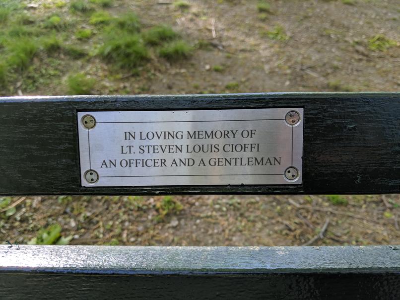 I saw this bench in Central Park