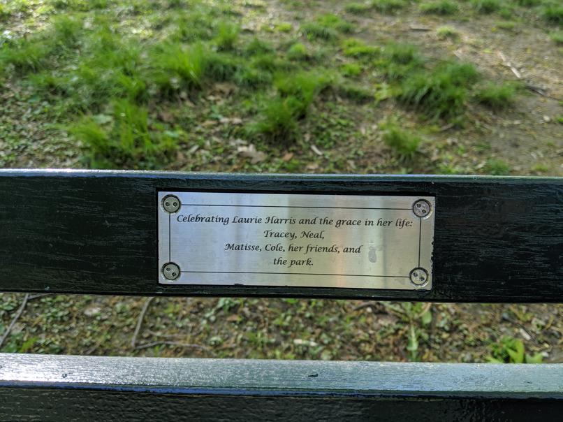 I saw this bench in Central Park