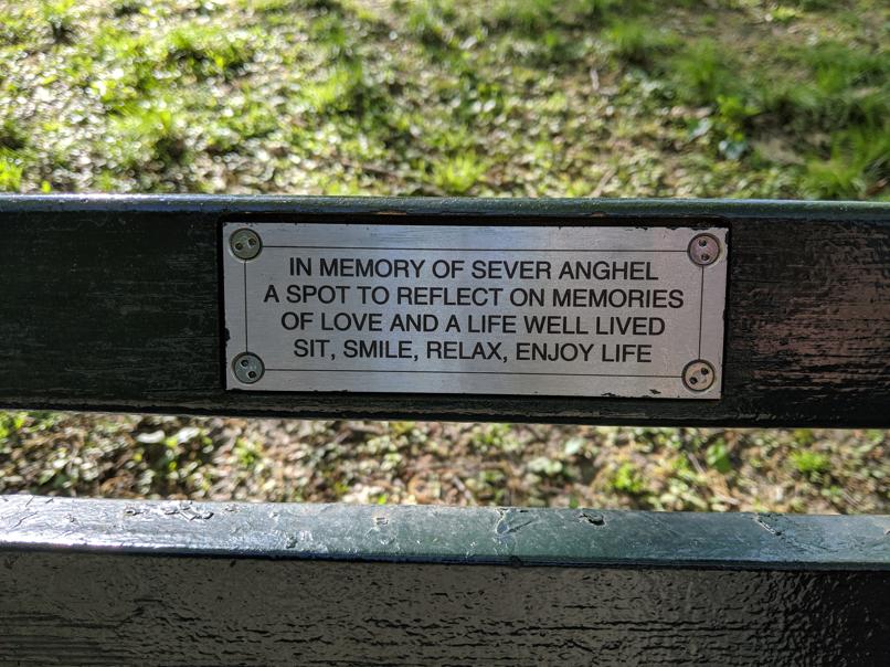 I saw this bench in Central Park