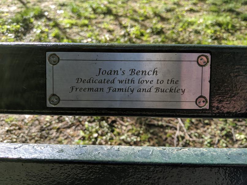 I saw this bench in Central Park