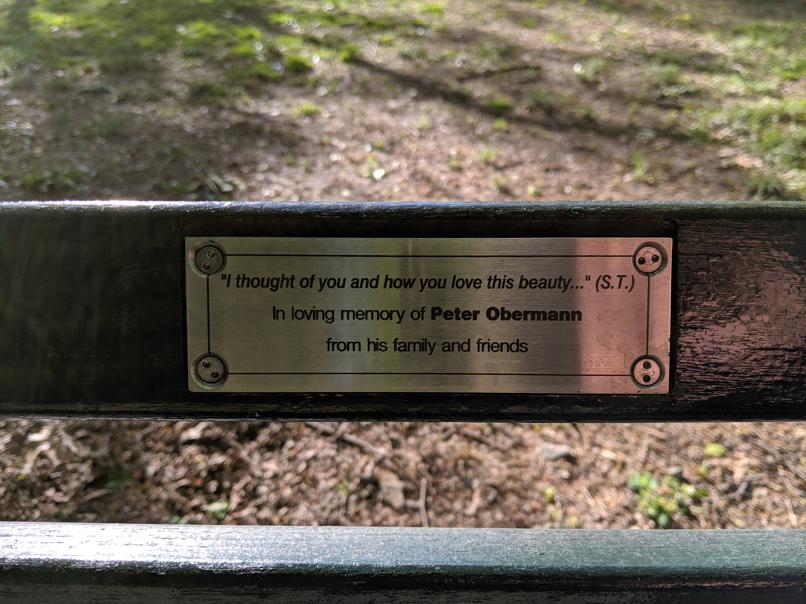 I saw this bench in Central Park