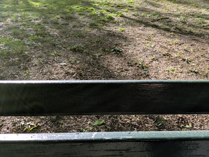 I saw this bench in Central Park