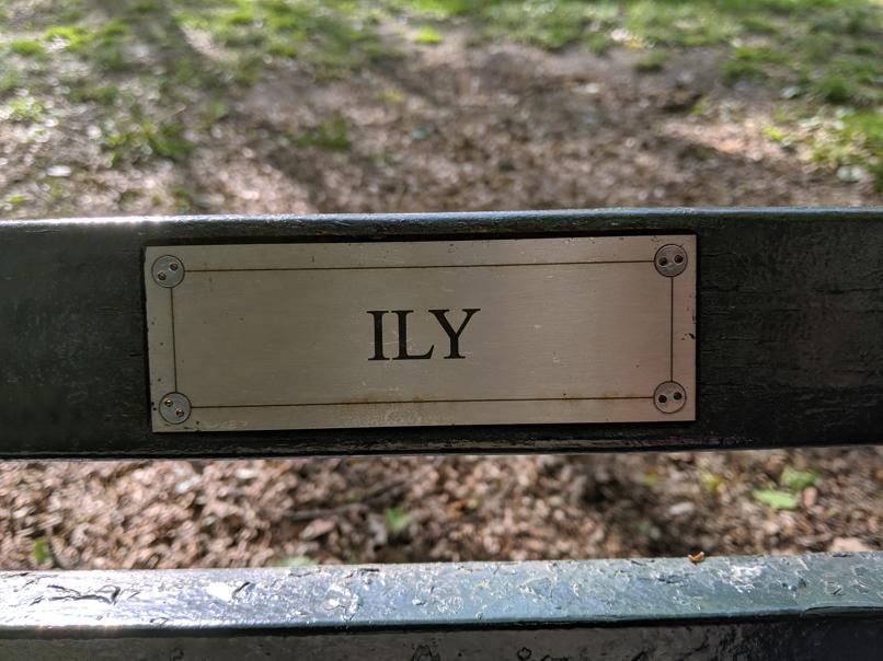 I saw this bench in Central Park