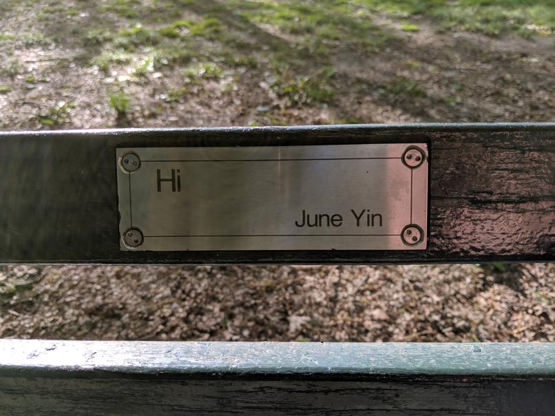 I saw this bench in Central Park