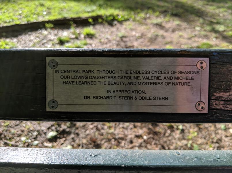 I saw this bench in Central Park