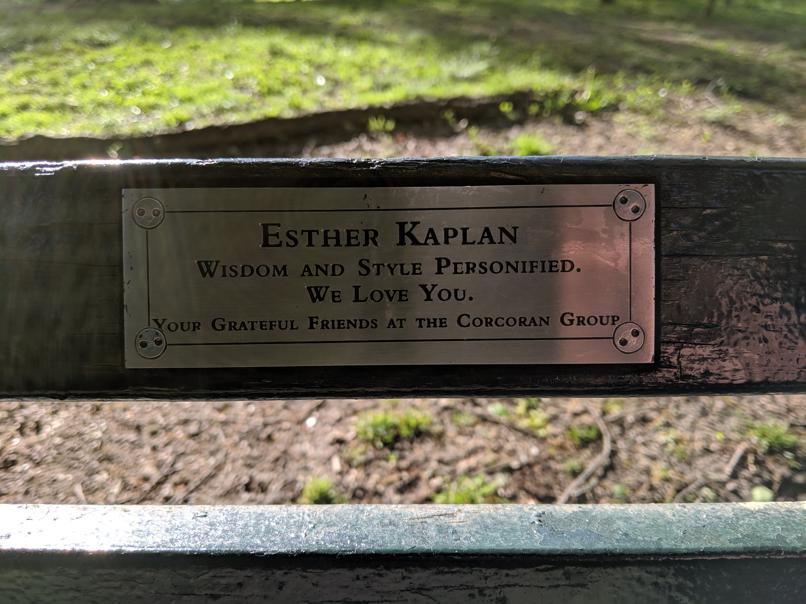 I saw this bench in Central Park