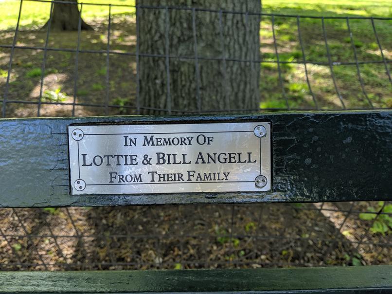 I saw this bench in Central Park