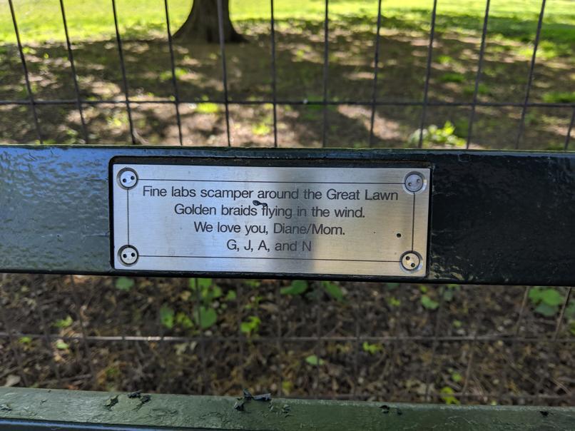 I saw this bench in Central Park