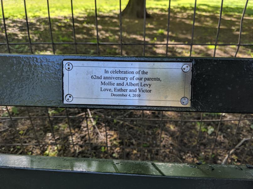 I saw this bench in Central Park