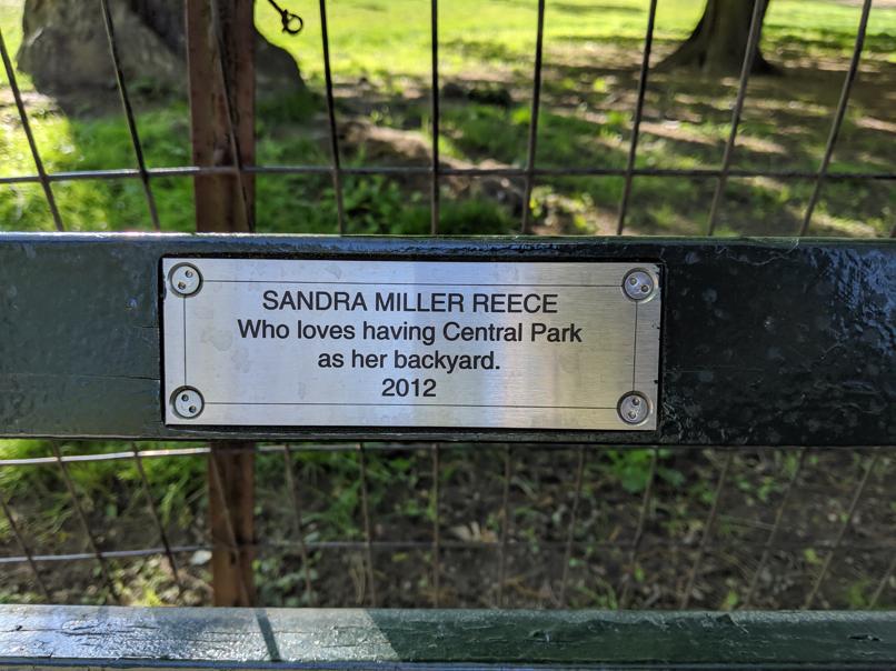 I saw this bench in Central Park