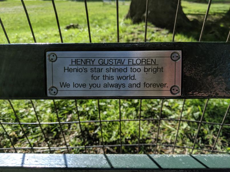 I saw this bench in Central Park