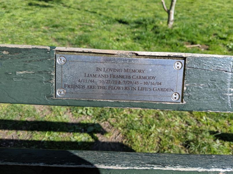 I saw this bench in Central Park