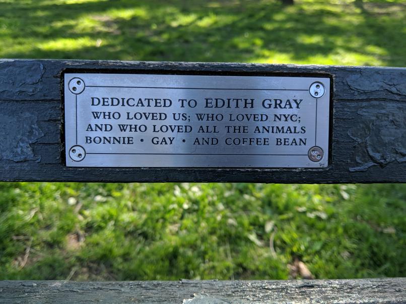 I saw this bench in Central Park