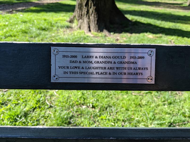 I saw this bench in Central Park