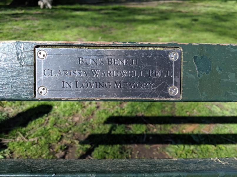 I saw this bench in Central Park